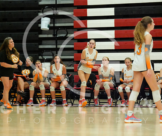 ©CGP 100326 Sectionals SCMS vs East Ridge 03303