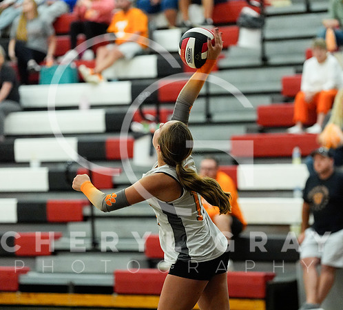 ©CGP 100326 Sectionals SCMS vs East Ridge 02721