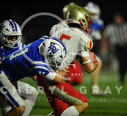 ©CGP 091826 Daniel Boone @ West Ridge 009680 copy