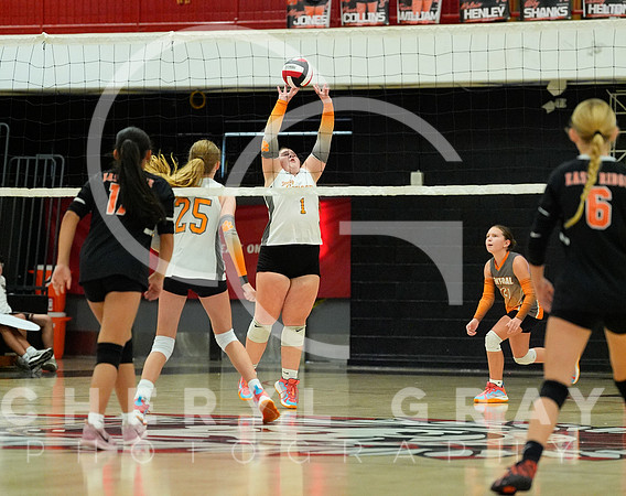 ©CGP 100326 Sectionals SCMS vs East Ridge 02556