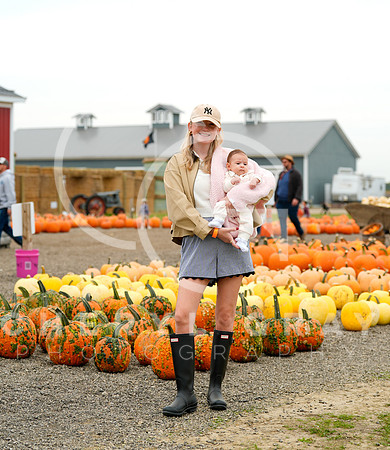 ©CGP 101026 Pumpkin Patch 009203