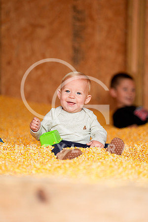 ©CGP 101026 Pumpkin Patch 007353