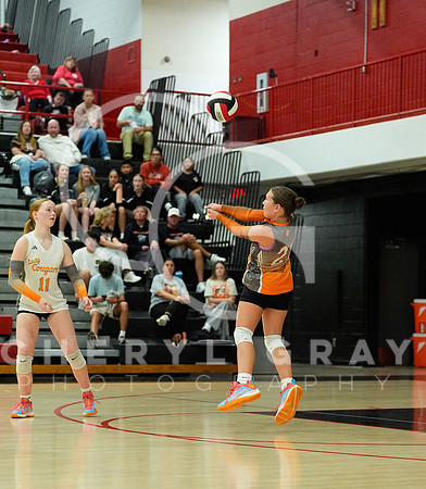 ©CGP 100326 Sectionals SCMS vs Maury 000398