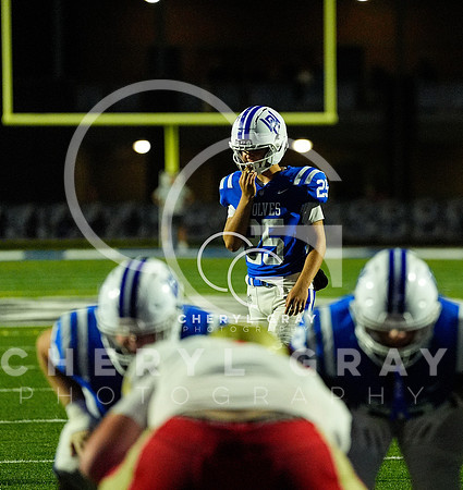 ©CGP 091826 Daniel Boone @ West Ridge 005588 copy