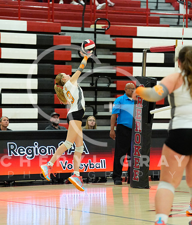 ©CGP 100326 Sectionals SCMS vs Maury 000973