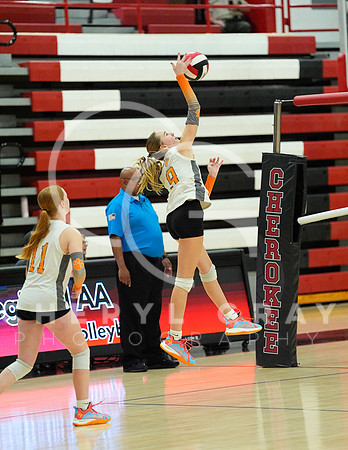 ©CGP 100326 Sectionals SCMS vs Maury 000559