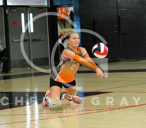 ©CGP 100326 Sectionals SCMS vs East Ridge 03595