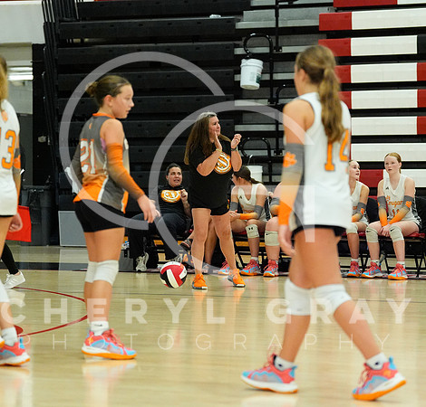 ©CGP 100326 Sectionals SCMS vs East Ridge 03617