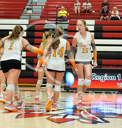 ©CGP 100326 Sectionals SCMS vs East Ridge 03897