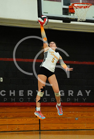 ©CGP 100326 Sectionals SCMS vs East Ridge 03317
