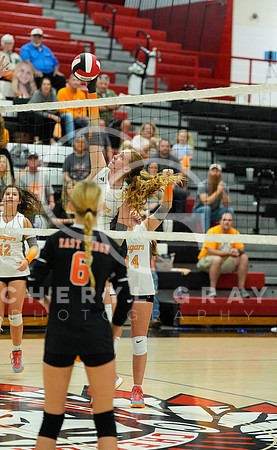 ©CGP 100326 Sectionals SCMS vs East Ridge 02433