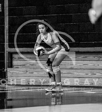 ©CGP 100326 Sectionals SCMS vs Maury 000330