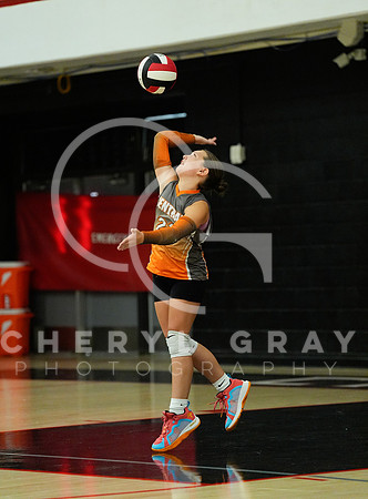 ©CGP 100326 Sectionals SCMS vs Maury 000115