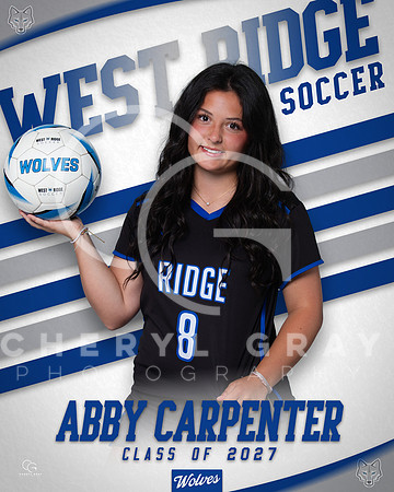 ABBY CARPENTER SENIOR BANNER 2026 copy