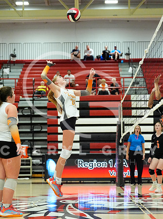 ©CGP 100326 Sectionals SCMS vs East Ridge 03393