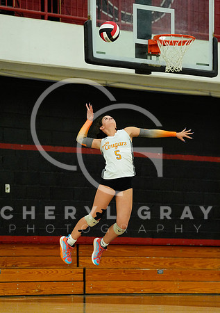 ©CGP 100326 Sectionals SCMS vs East Ridge 03336