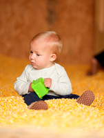 ©CGP 101026 Pumpkin Patch 007338