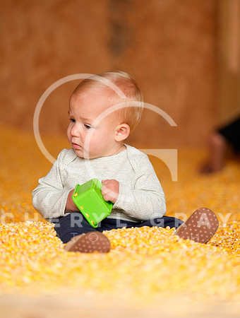 ©CGP 101026 Pumpkin Patch 007338