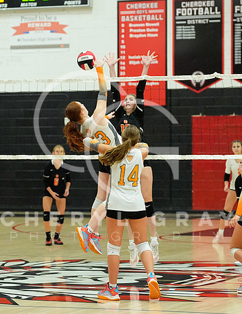 ©CGP 100326 Sectionals SCMS vs East Ridge 02855