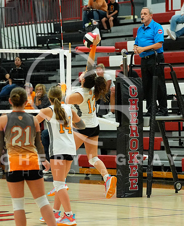 ©CGP 100326 Sectionals SCMS vs East Ridge 02733