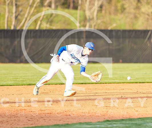 ©CGP 041425 Daniel Boone @ West Ridge 06595