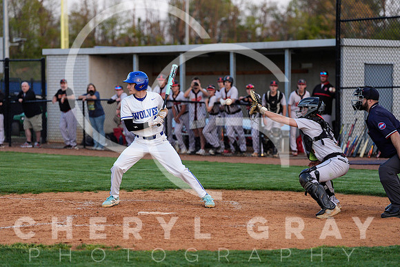 ©CGP 041425 Daniel Boone @ West Ridge 07371