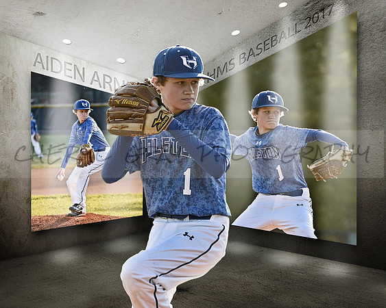 Aiden Arnette Collage