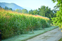 ©CGP_091623_@Fenders Farm_00011