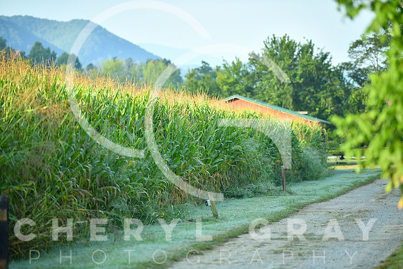 ©CGP_091623_@Fenders Farm_00011