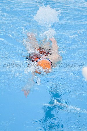 SCHS121817_1121