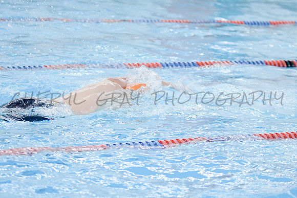 SCHS121817_2306