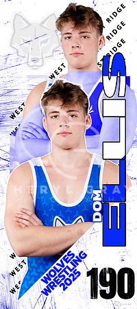 DOM ELLIS SENIOR BANNER 2025 copy