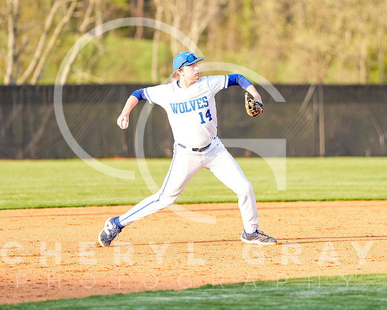 ©CGP 041425 Daniel Boone @ West Ridge 06573