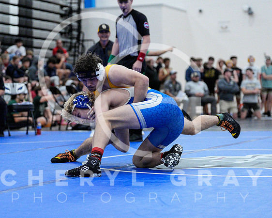 ©CGP 111624 Wolfpack Preview_1472