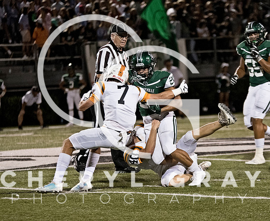 ©CGP vsGVLE092818_0474 copy