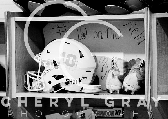 ©CGP FIELDH100718_0012