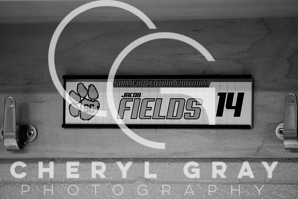 ©CGP FIELDH100718_0017
