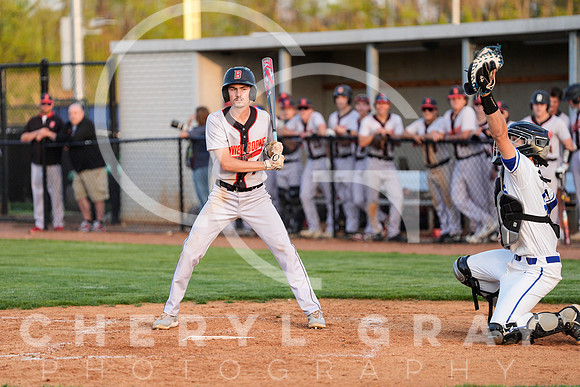 ©CGP 041425 Daniel Boone @ West Ridge 07022