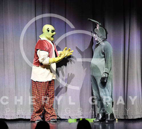 ©CGP_120823 SHREK Performance_1763