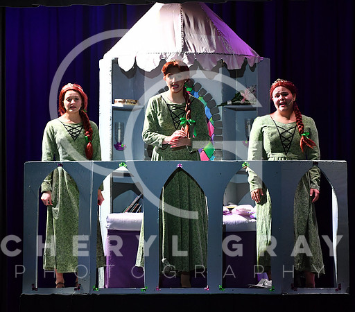 ©CGP_120823 SHREK Performance_1789