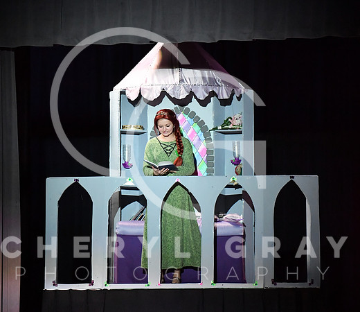 ©CGP_120823 SHREK Performance_1784