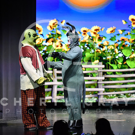 ©CGP_120823 SHREK Performance_1791