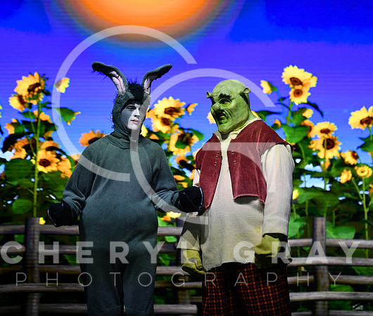 ©CGP_120823 SHREK Performance_1792