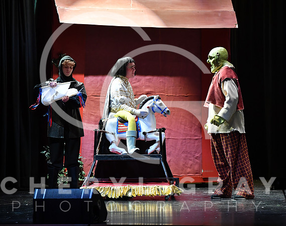 ©CGP_120823 SHREK Performance_1864