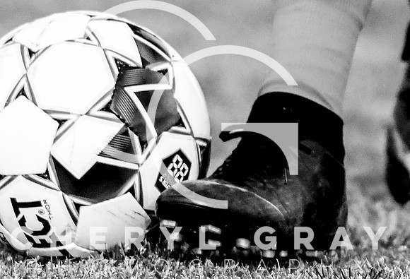 ©CGP vsVOL042919_1787 bw