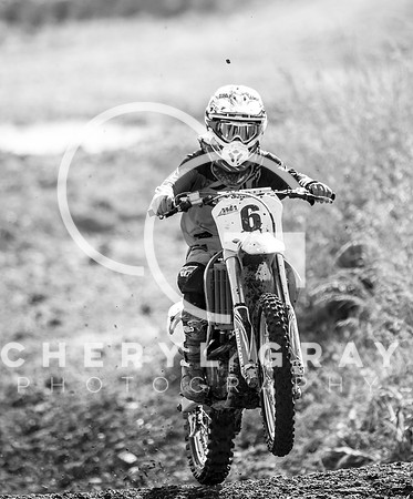 ©CGP i81051819_0611 bw