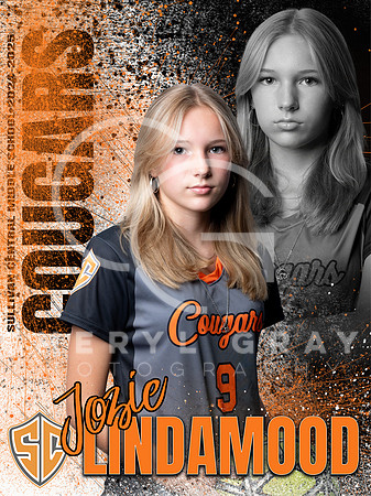 JOZIE LINDAMOOD SCMS BANNER copy