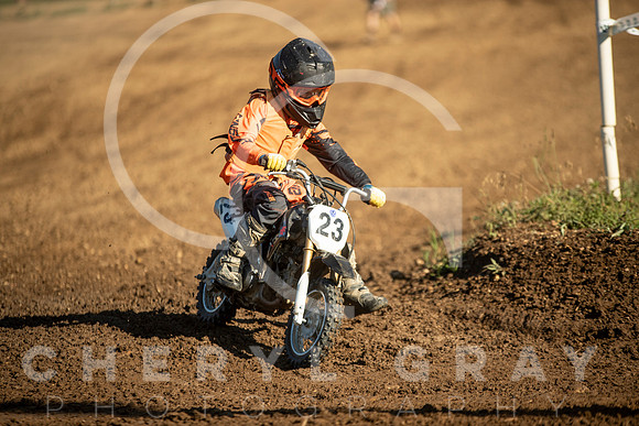 ©CGP HSNi81070320_0652