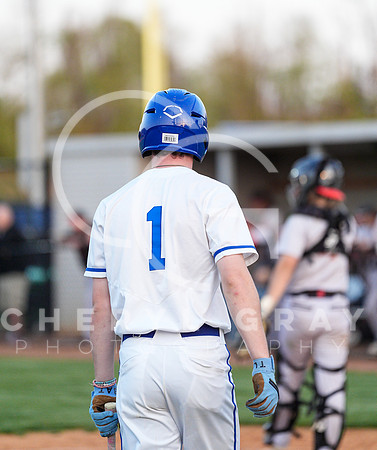 ©CGP 041425 Daniel Boone @ West Ridge 07145