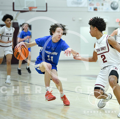CGP_020824 JV West Ridge vs Dobyns Bennett_00123 copy